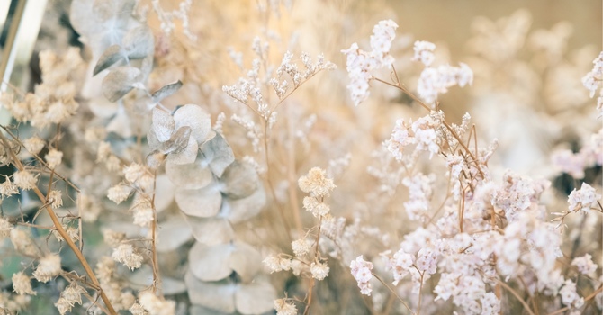 Manual Lymphatic Drainage